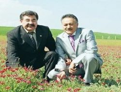 Sevgi çiçeği yağmura teslim