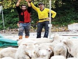 Mehmetçik Vakfı'ndan kurban kotası