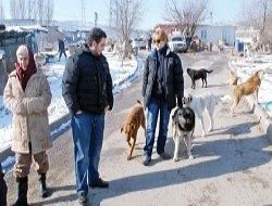 Belediyelerden sıcak önlem