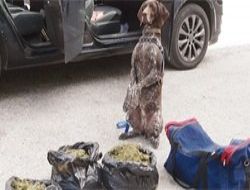 Jandarma geçit vermedi