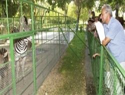 Gazi Orman Çiftliği adını tescil ettirdi