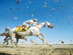 Türk atçılığı AB'ye girdi