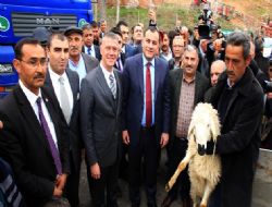 20 aileye 20'şer koyun birer koç