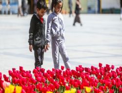 Sincan'da lale devri