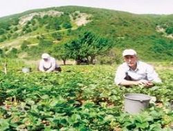 Yetersiz üretim küçültüyor