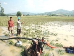 Çiftçiyi Dolu Vurdu 