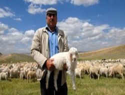 Altın değerindeydi