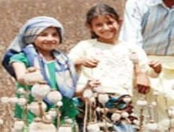 Haşhaş kapsülü alım fiyatı belirlendi