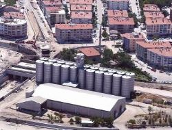 Şimdi sıra yeşil alanda