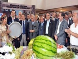 Diyarbakır günleri AKM'de