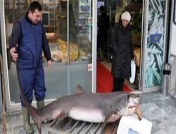 Mersin'de takıldı Başkent'e geldi