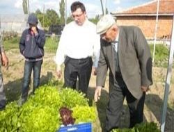Seracılığa destek var