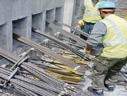 Etkili koruma yönetmeliği