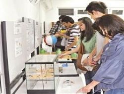 Fizik Oyunları ilgi çekiyor