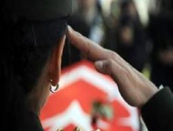 Çubuk şehidini bekliyor
