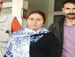 Terbiyesize bak!