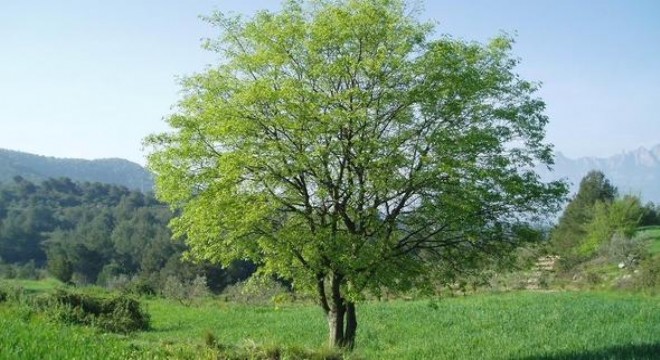 Bir milyon yazışma ‘e-beyas'la yapılıyor