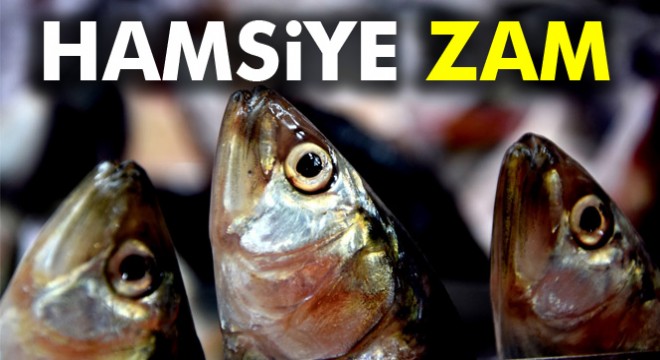 Hamsinin kilosu yüzde 125 zamlandı