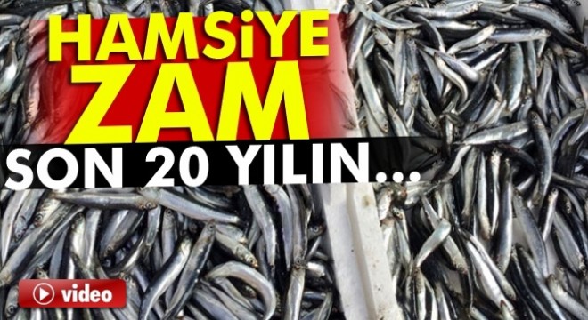 Hamsiye zam! Son 20 yılın en yüksek fiyatına ulaştı