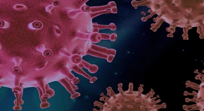 Koronavirüs salgınında ölenlerin sayısı 5 bin 710'a ulaştı