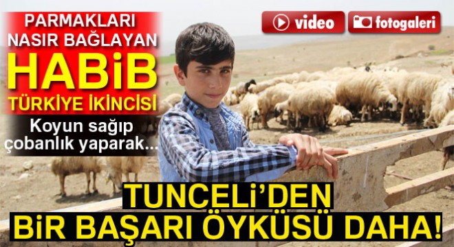 Koyun sağıp, çobanlık yapan Habib'in TEOG başarısı