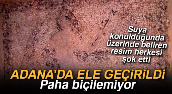 Paha biçilemiyor! Suya konulunca birden üzerine belirdi...
