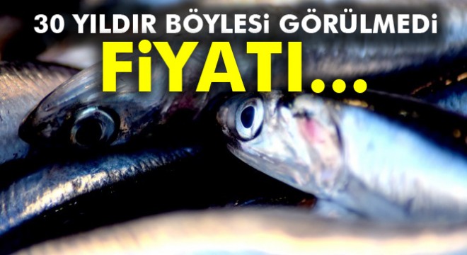 Trabzon'da balık fiyatları son 30 yılın en yüksek rakamını gördü