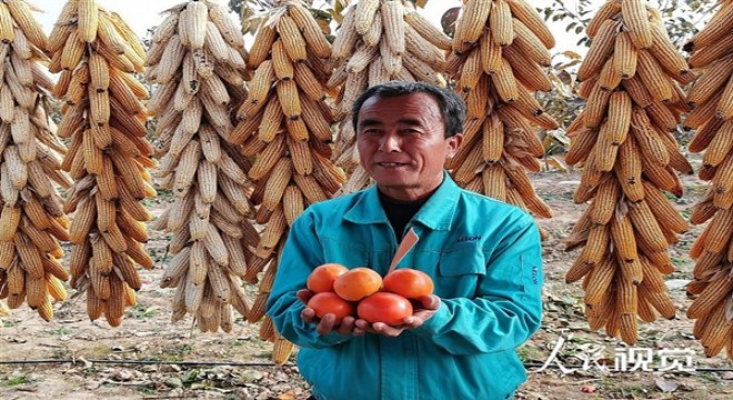 Xi: Çin'de yoksullukla mücadele hedefine zamanında ulaşıldı