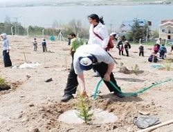 Gölbaşı'na Gazi'den 2 bin fidan