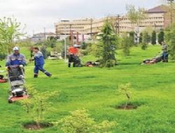 Parklara ilkbahar bakımı