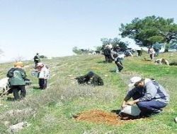Ağaçlandırma'da hedefler aşıldı