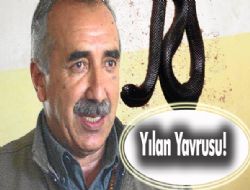 Hain başından küstah cevap!